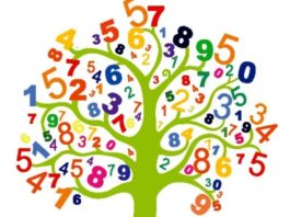 A numerologia traça o seu destino