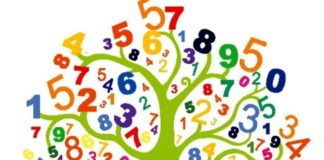 A numerologia traça o seu destino