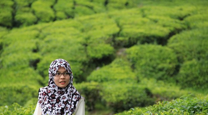 A origem do chá e o seu modo de preparação