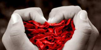 Descubra o seu par ideal através dos Genes Descubra o seu par ideal através dos genes