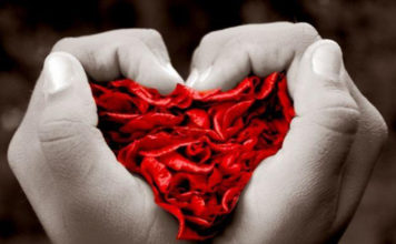 Descubra o seu par ideal através dos Genes Descubra o seu par ideal através dos genes