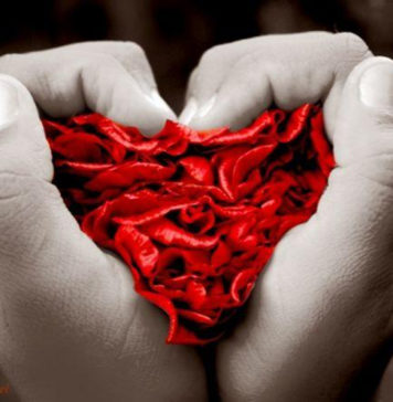 Descubra o seu par ideal através dos Genes Descubra o seu par ideal através dos genes