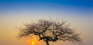 Andar de bicicleta - pedalar