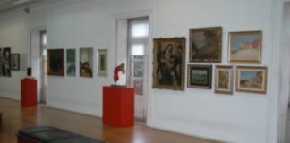 Armanda Passos na Cooperativa Árvore