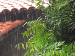 Como pode reaproveitar a água da chuva