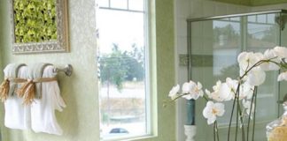 Feng Shui das plantas e flores para harmonizar a sua casa