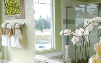 Feng Shui das plantas e flores para harmonizar a sua casa