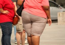 A gordura corporal é Importante para a saúde?