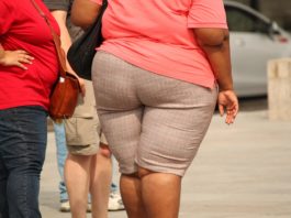 A gordura corporal é Importante para a saúde?
