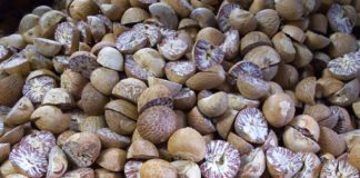 Incenso de Noz-moscada