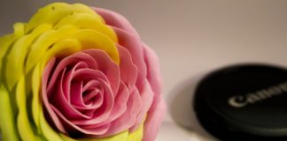 Massa de sabonete decorativo