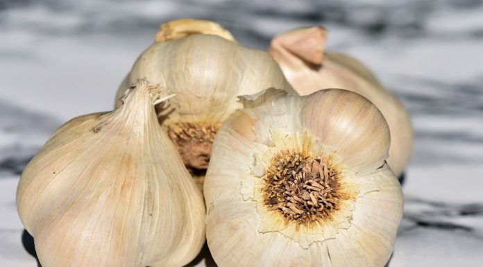 11 truques caseiros para retirar os maus cheiros