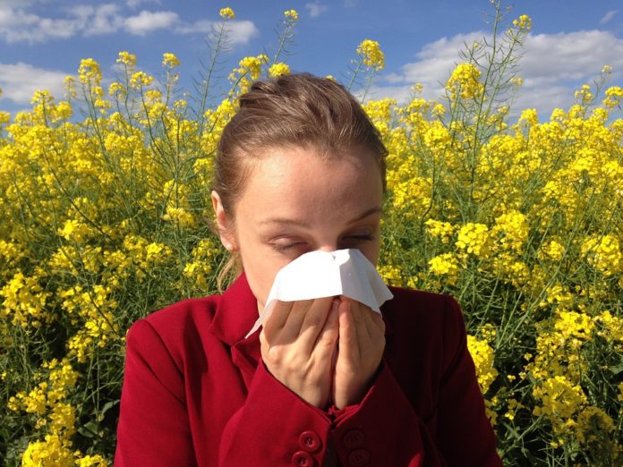 O combate ás alergias