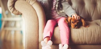 Quer mesmo adoptar um cão