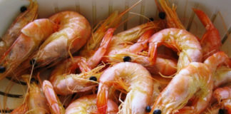 Receita de coroa de marisco