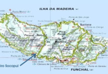 Rei das bananas - Ilha da Madeira