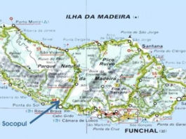 Rei das bananas - Ilha da Madeira