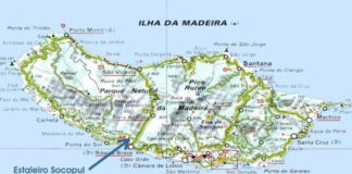 Rei das bananas - Ilha da Madeira