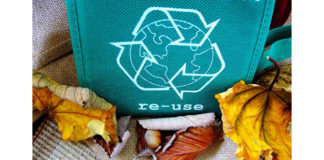 Respeitar a natureza, basta reciclar