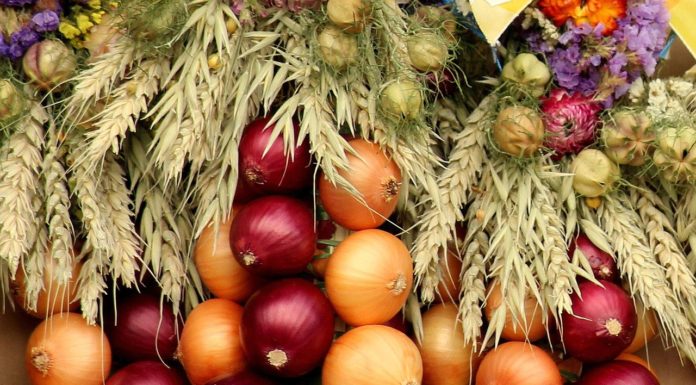 Cebola: truques úteis que vai querer utilizar na sua cozinha Truques da cebola