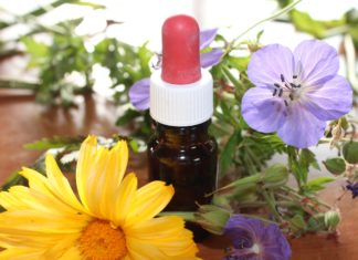 Aromaterapia e óleos essenciais para o bem estar físico e emocional