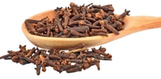 Cravo da índia, benefícios e modo de consumo
