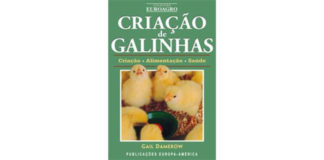 Criação de Galinhas