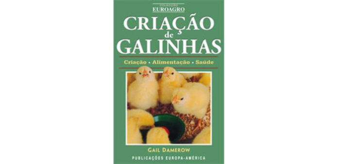 Criação de Galinhas