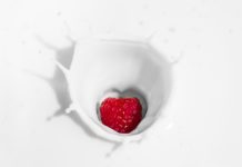 Iogurte vivo, o site de referência do iogurte