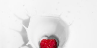 Iogurte vivo, o site de referência do iogurte