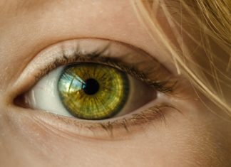 A Iridologia, um método que revela o seu estado sua saúde Iridologia