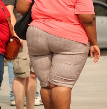 Causas da obesidade