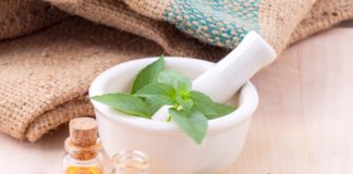 Os poderes das plantas medicinais