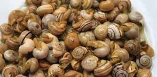 Receita de caracóis à portuguesa