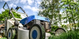 Como tratar do seu relvado