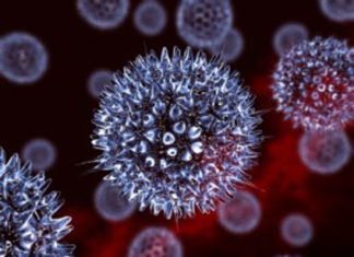 Virus da herpes