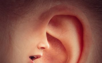 Como transmitir ao seu parceiro aquilo que você deseja Como transmitir ao seu parceiro aquilo que você deseja