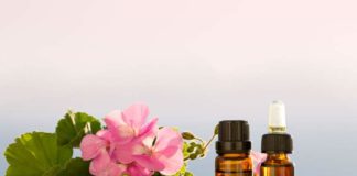 Óleo essencial de Gerâneo, conhecido como o óleo da mulher Óleo essencial de Gerâneo