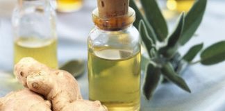 Óleo essencial de Gengibre, benefícios e aplicações
