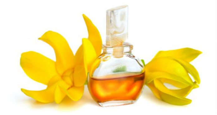 Óleo essencial de Ylang Ylang