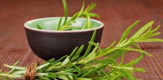 Óleo essencial de alecrim