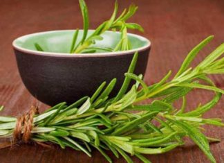 Óleo essencial de alecrim