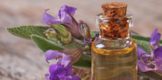 Óleo essencial de salva