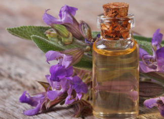 Óleo essencial de salva