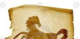 Horóscopo Chinês - Signo Cavalo