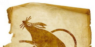 Horóscopo Chinês - Signo Rato