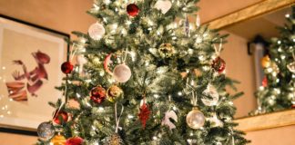 A lenda do Pinheiro de Natal