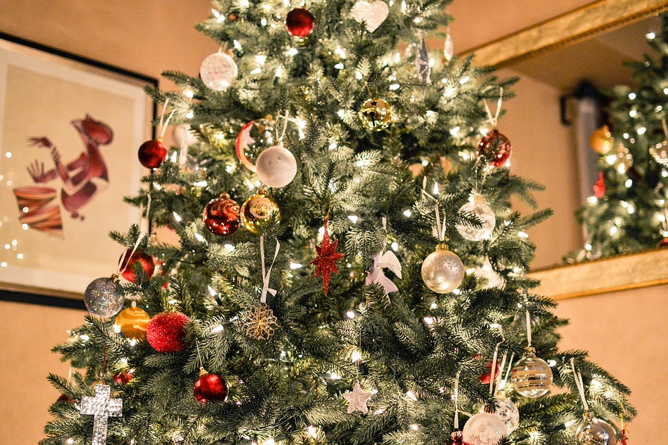 A lenda do Pinheiro de Natal - Mulher Portuguesa A lenda do Pinheiro de Natal - Mulher Portuguesa