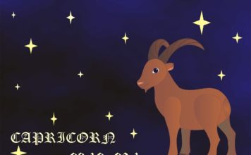 Signo Capricórnio – previsão astrológica 2017 Previsão Capricórnio 2017