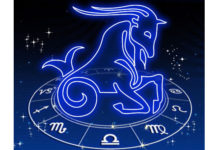 Signo Capricórnio